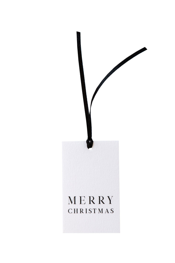 Merry Christmas Gift Tag // 10 Pack